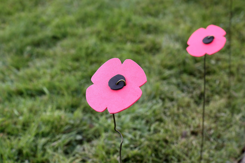 Illustration for article titled 2018 Remembrance Day at Mountain View Cemetery